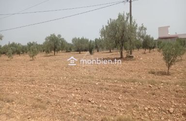 Terrain de 4800 m² à Sidi Mtir à vendre à 270 MD 51355351