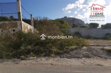 Terrain Porto rico à Vendre à  Amilcar