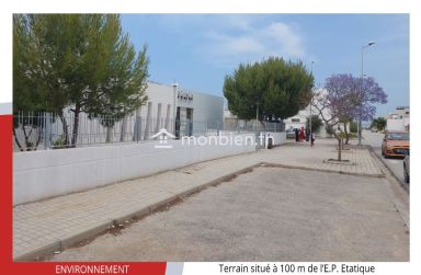 Terrain de 400m2 à 480 D le m2