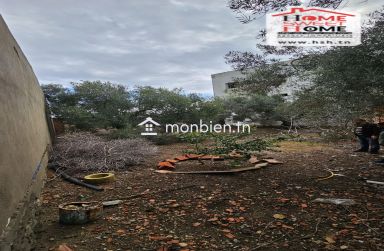 Immeuble Alta à Vendre à Hammem Ghzez