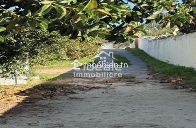 À vendre – 4 lots de terrain à Hammamet (Zone Craxi)