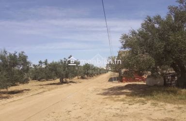 Terrain de 150 m² à vendre à Hammamet Sud 51355351