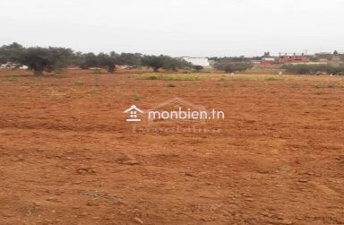 Terrain de 1000 m² à vendre à 200 MD à Hammamet Sud 51355351