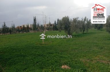 Terrain Habitation Orélia à Vendre à Borj Touil