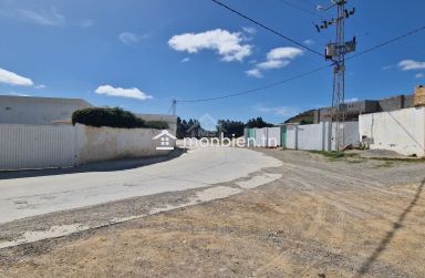 51355351للبيع أرض صبغة سكنية في الحمامات الجنوبية