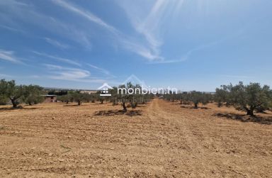Terrain de 4018 m² à vendre à 200 dt/m² à Hammamet Sud