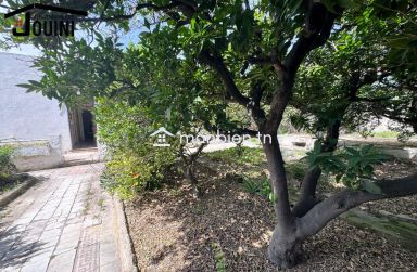 Maison 450 M² à Bellevue Tunis