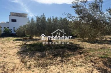 À vendre deux terrains d’exception à Hammamet Nord