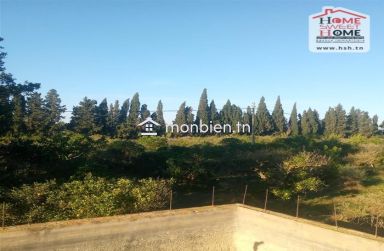 Terrain agricole Oraniva à vendre à Menzel Bouzelfa