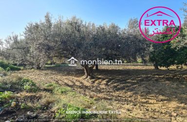 campagne à dar chaabane el fehri