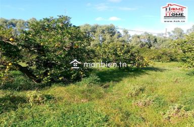 Terrain Agricole Florésia à Vendre à Menzel Bouzalfa