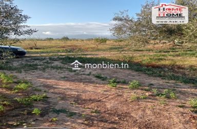 Terrain Agricole Erraja à Vendre à Zaghouan