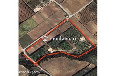 Ferme Hela T1227 Nabeul