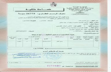 فرصة استثمارية ممتازة بالقلعة الصغرى - أرض للبيع