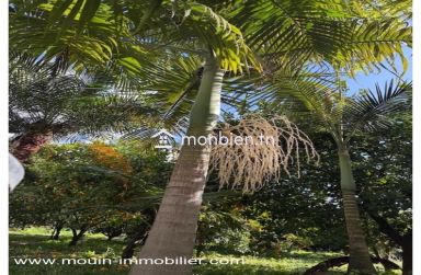 Ferme Beni Khaled 2 T1225 Nabeul