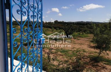 Verger d’exception à Borj Hfaïedh – Une adresse rare entre Bouargoub et Hammamet