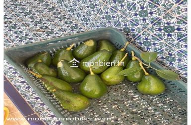 Ferme Beni Khaled 2 T1225 Nabeul