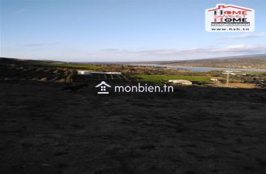 Terrain Agricole Chouour à Vendre à Takelsa