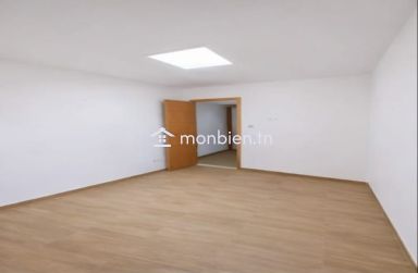 locaux à usage professionnel