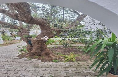 Réf : L1219 Maison Bruno