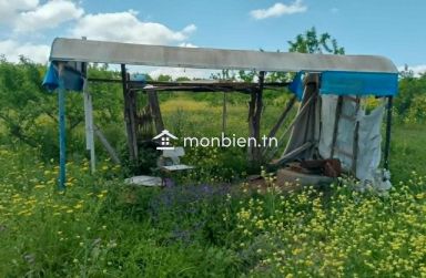 🌿 Ferme à vendre – 8,5 hectares