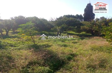 Terrain Agricole Florésia à Vendre à Menzel Bouzalfa