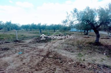 Terrain de 220 m² à KM71 à vendre 51355351