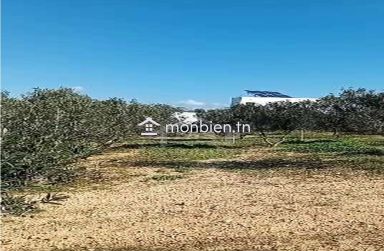 Terrain de 400 m² avec vue de mer à Hammamet Sud à vendre 51355351