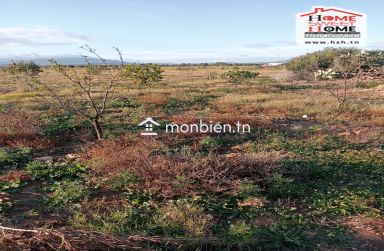 Terrain Agricole Erraja à Vendre à Zaghouan