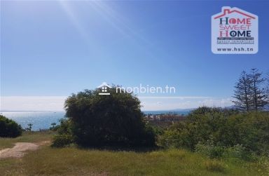 Terrain Porto rico à Vendre à  Amilcar