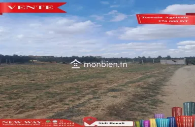 Terrain Agricole à Sidi Bouali près de l'autoroute et GP1