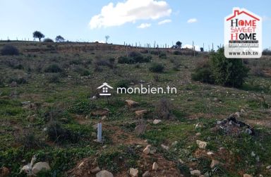 Terrain Habitation Meziane à Vendre à Nahli
