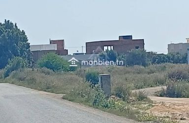 Terrain clôturé de 540 m² à Hammamet Sud à vendre 51355351