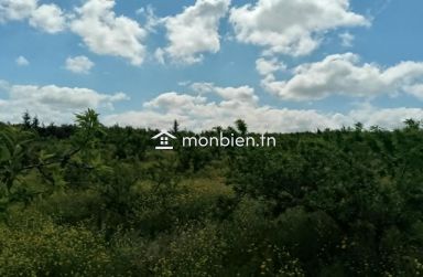 🌿 Ferme à vendre – 8,5 hectares