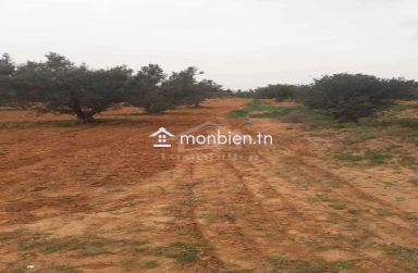 Terrain de 1000 m² à vendre à 200 MD à Hammamet Sud 51355351