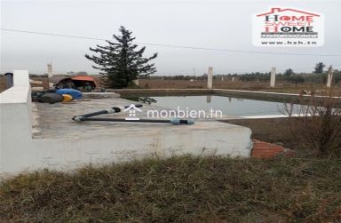 Terrain agricole Agrumia à vendre à Mjez El Beb