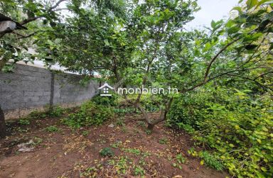 Terrain de 240 m² à Hammamet à vendre à 110 MD 51355351