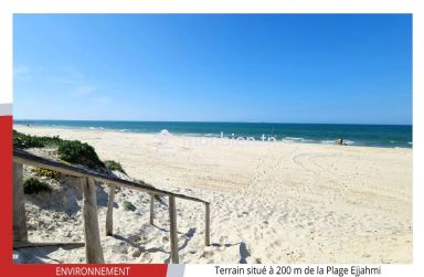 Terrain de 377m2 à 480 Dt le m2