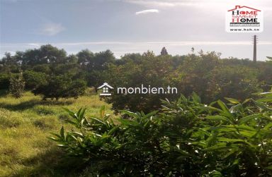 Terrain Agricole Florésia à Vendre à Menzel Bouzalfa