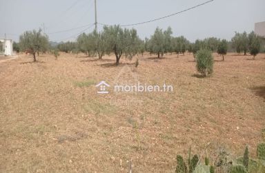 Terrain de 4800 m²  à Sidi Mtir à vendre à 270 MD 51355351