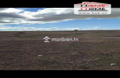 Terrain Agricole Haiza à Vendre à Kef