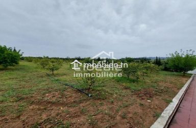 Verger d’exception à Borj Hfaïedh – Une adresse rare entre Bouargoub et Hammamet