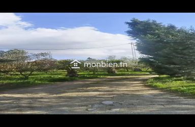 🌿 À VENDRE – SUPERBE ORANGERAIE À SOLIMAN 🌿