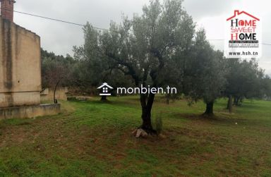 Ferme EL Baha à Vendre à Mornag