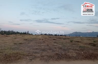 Terrain Agricole Bagdad à Vendre à Zaghouan