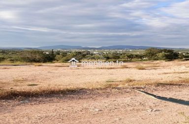 Terrain de 2700 m² à Hammamet Sud à vendre à 200 MD 51355351