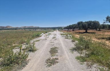 Terrain de 4000 m² à vendre à 100 MD à Hammamet Sud 51355351