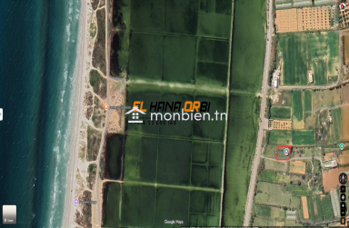Terrain à vendre proche de la plage à baghdedi mahdia