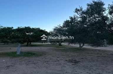 Terrain de 500 m² à daroufaa à vendre 51355351