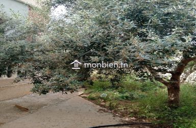 Une villa S+3 avec garage et jardin à vendre à Birbouregba 51355351